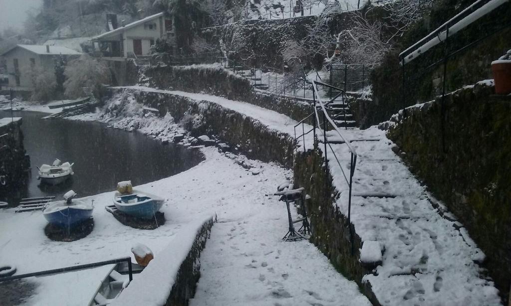 Tra Lago E Montagna Baita La Morena Nesso Eksteriør bilde