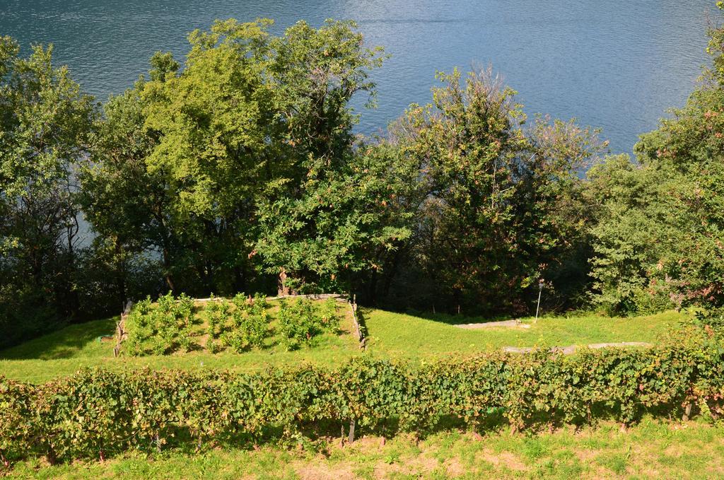 Tra Lago E Montagna Baita La Morena Nesso Eksteriør bilde