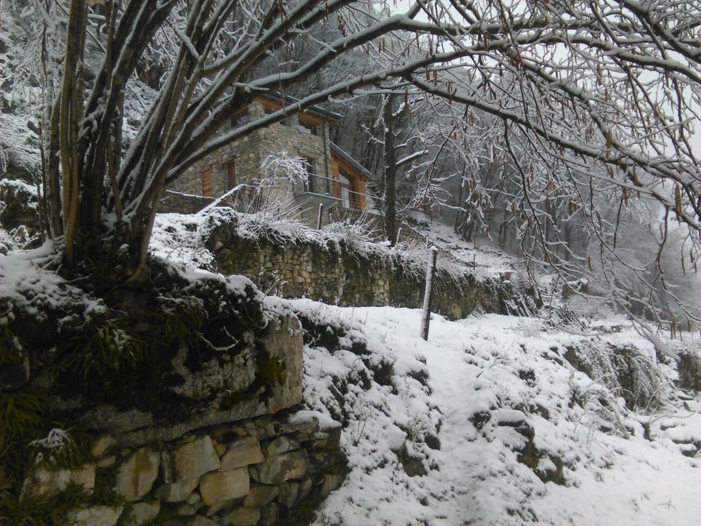 Tra Lago E Montagna Baita La Morena Nesso Eksteriør bilde