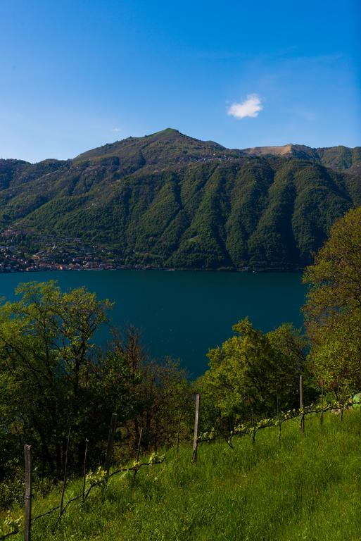 Tra Lago E Montagna Baita La Morena Nesso Eksteriør bilde