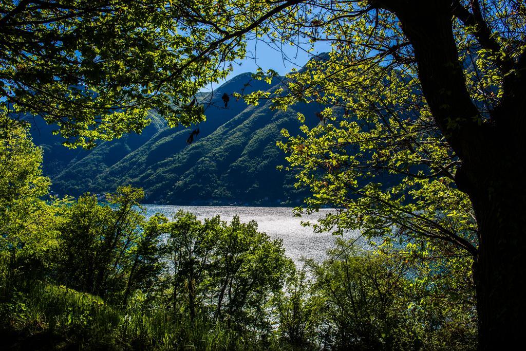 Tra Lago E Montagna Baita La Morena Nesso Eksteriør bilde