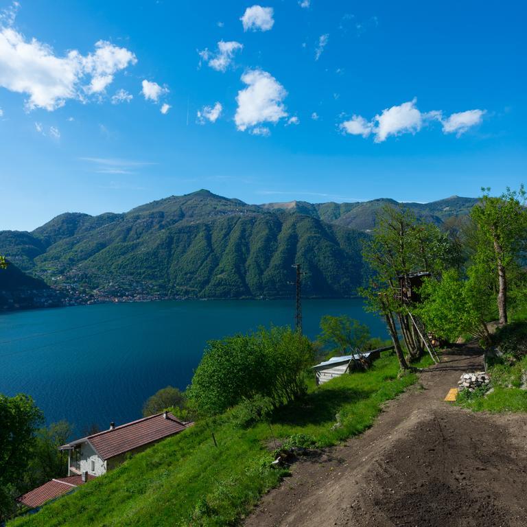 Tra Lago E Montagna Baita La Morena Nesso Eksteriør bilde
